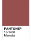 Marsala, color of the year 2015