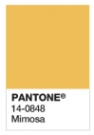 Mimosa, color of the year 2009